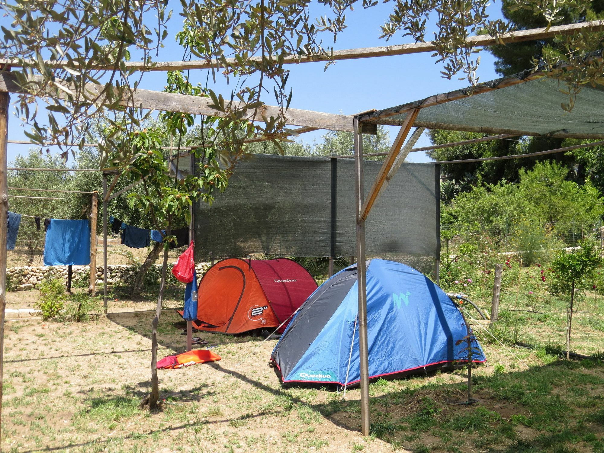 Camping Fiori Di โนโต ภายนอก รูปภาพ