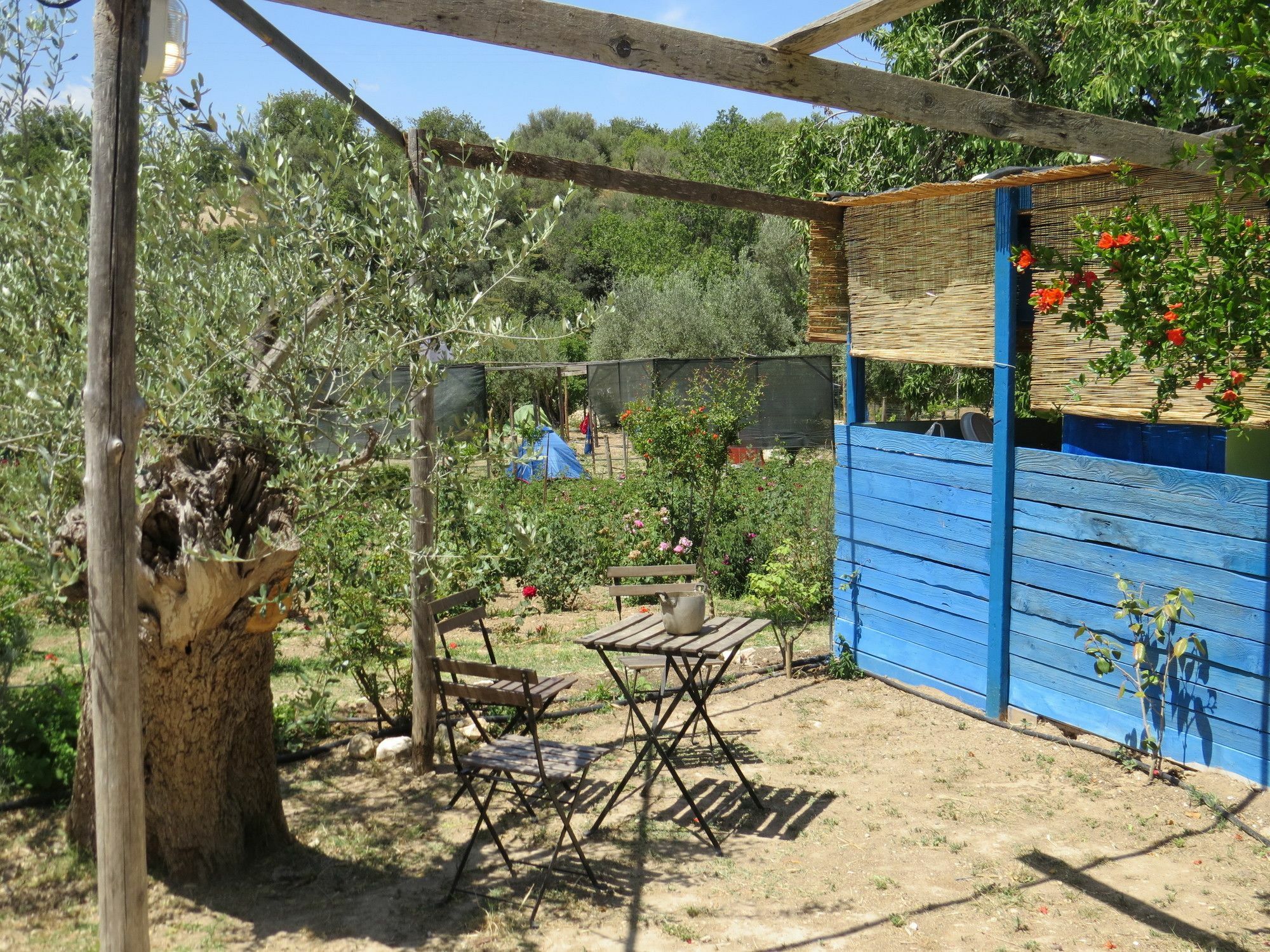 Camping Fiori Di โนโต ภายนอก รูปภาพ
