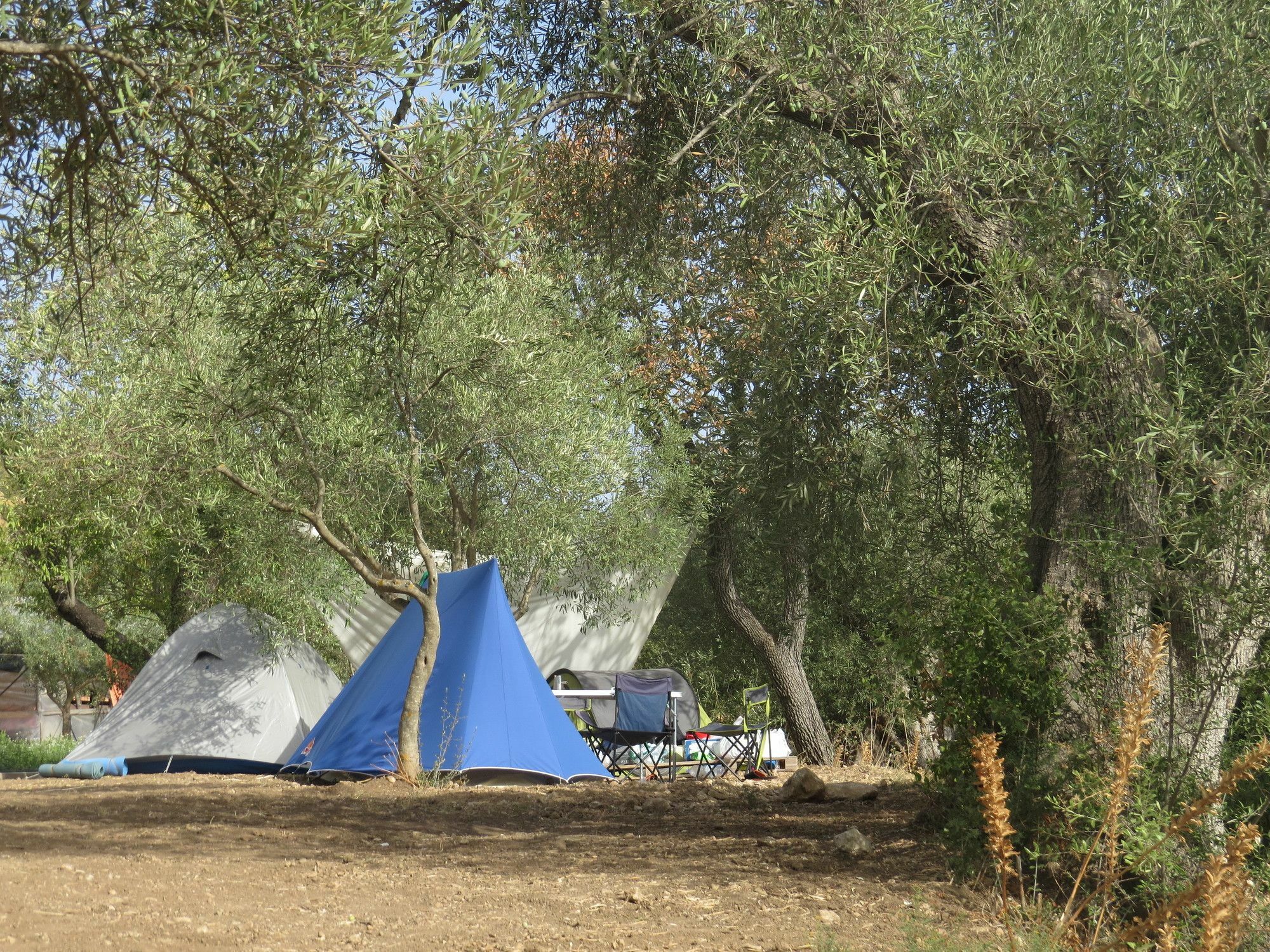 Camping Fiori Di โนโต ภายนอก รูปภาพ